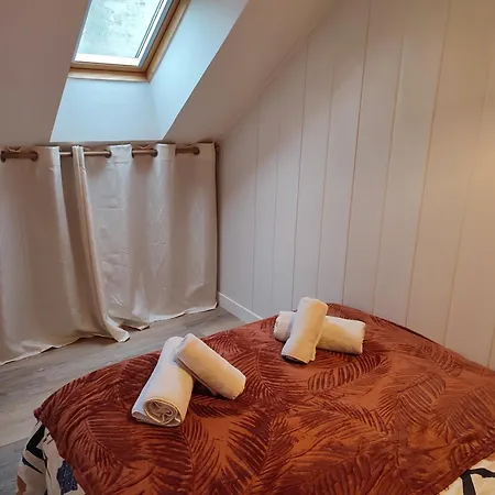Cosy 1